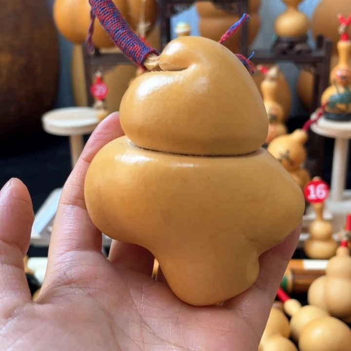 青*葫芦岛连山区……哈佛医学院一开始