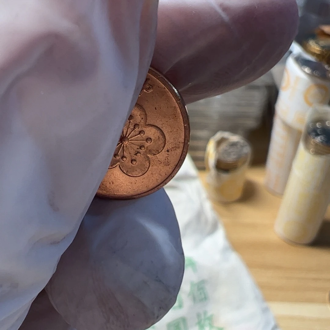 其他普通金属10枚2分之一币