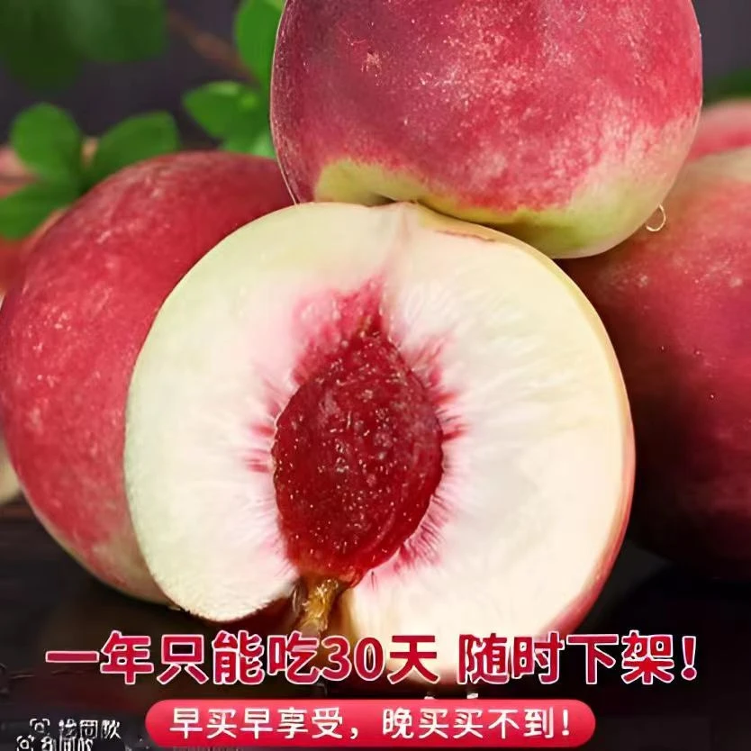 山东沂蒙山冬桃脆甜小时候的味道离合现摘现发桃子