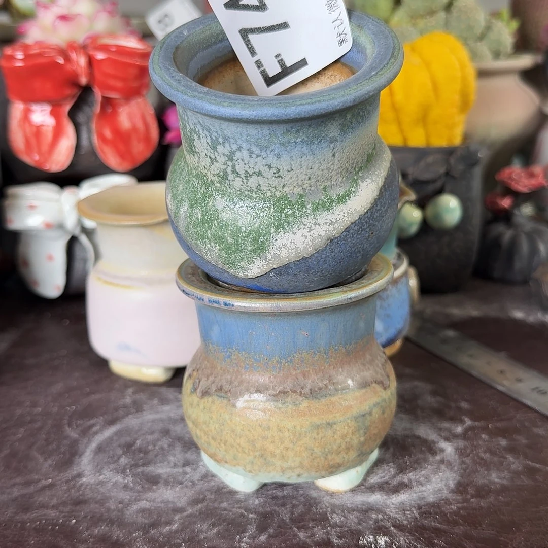 重庆小燕子欢迎大家741