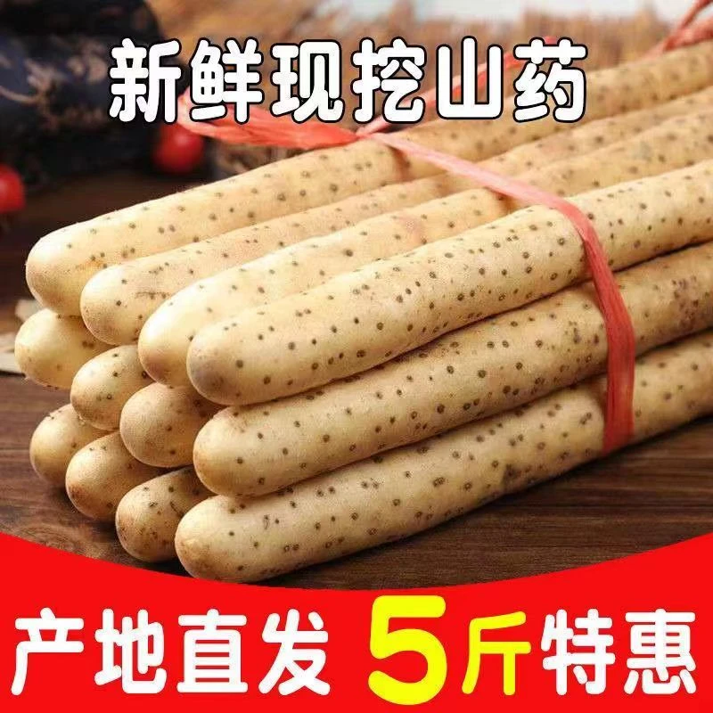 五斤铁棍山药软糯香甜产地直发生鲜30-40cm宝宝辅食