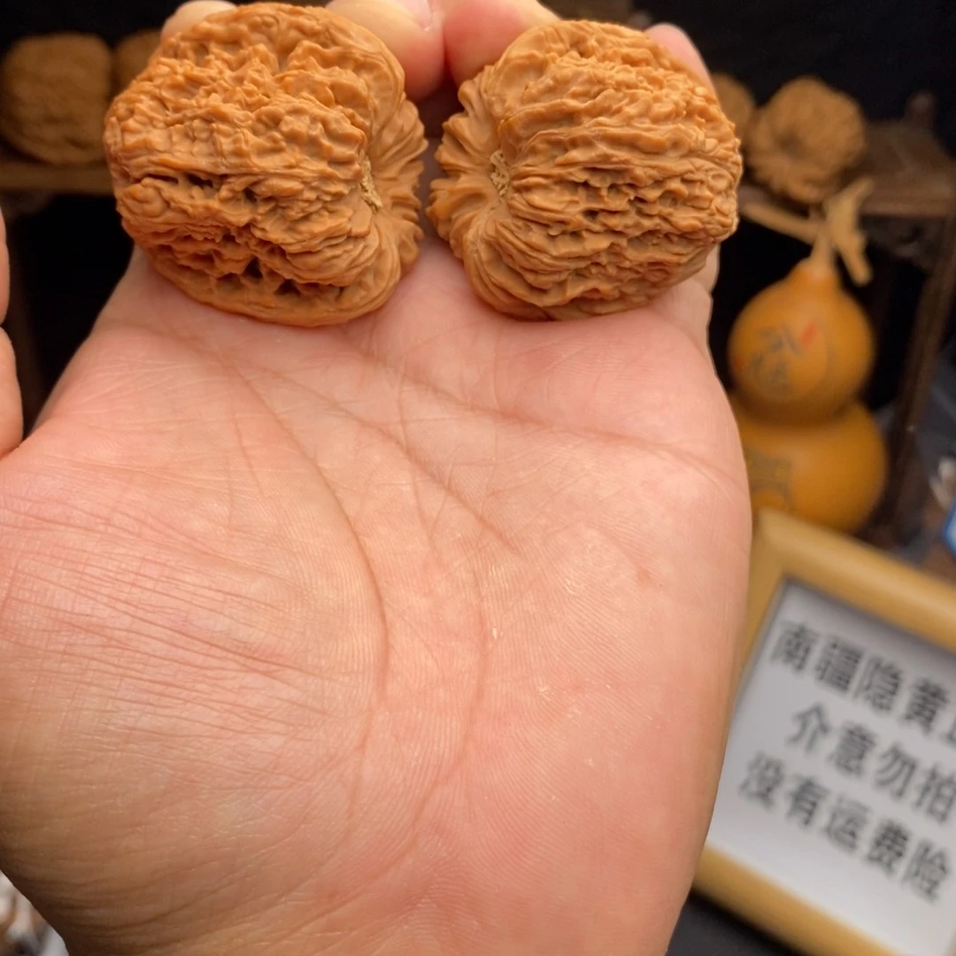 逐鹿木塞凹底丑疆38