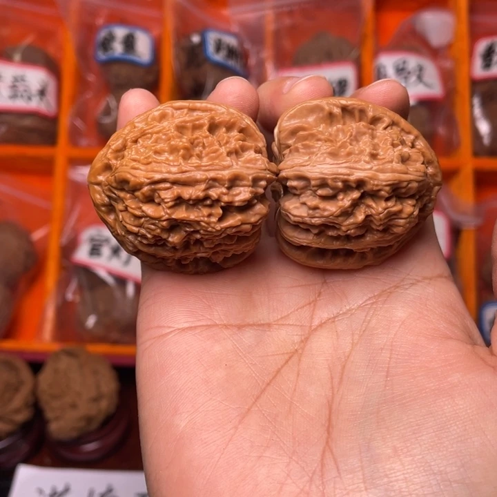 核桃白狮子打底的hetao