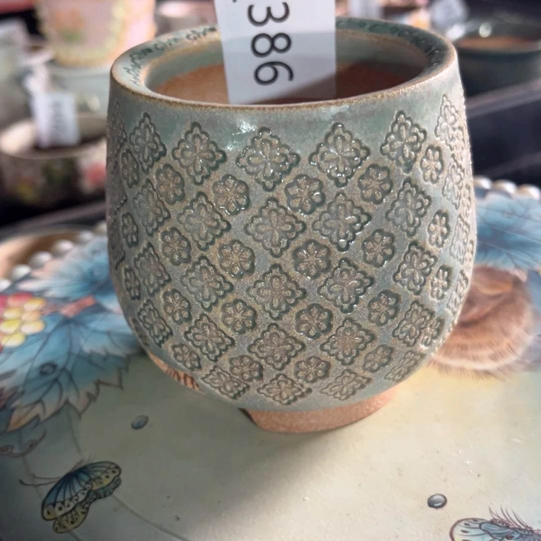 红陶一**泡386花盆1个