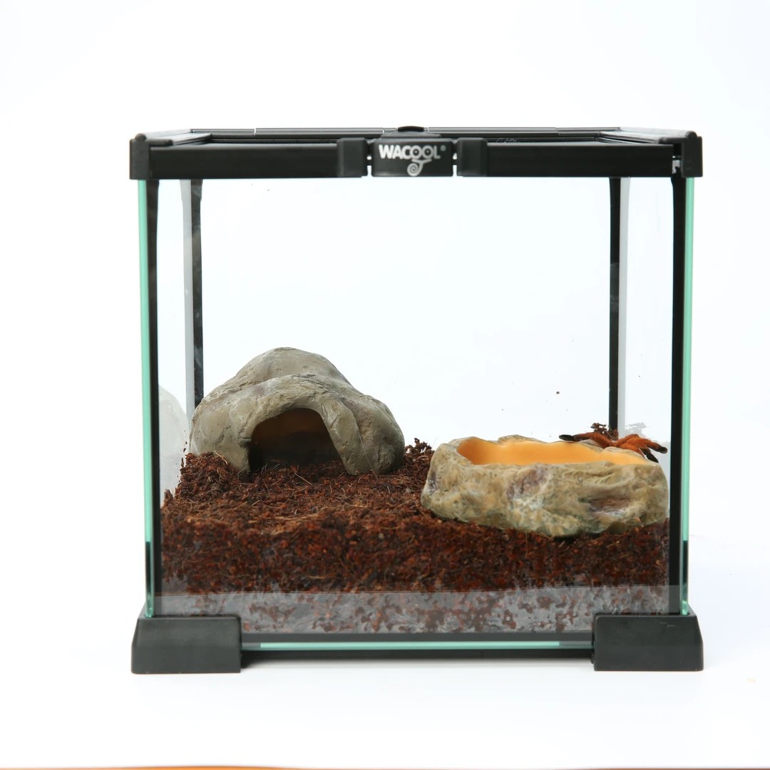 REPTIZOO/瑞皮爬宠饲养箱蜥蜴蛇守宫角蛙饲养套装造景新手入门