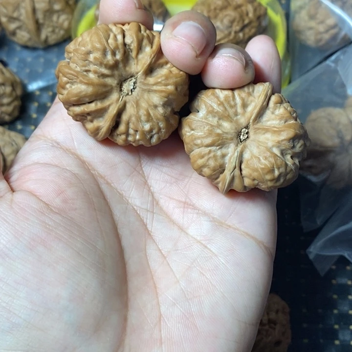 @***活文玩核桃把件蛤蟆37