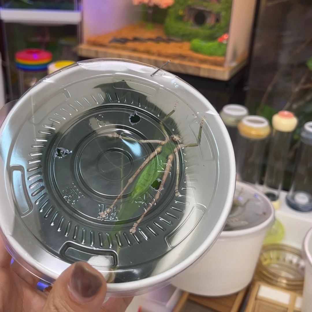 用***1素背单拍拍拍拍拍