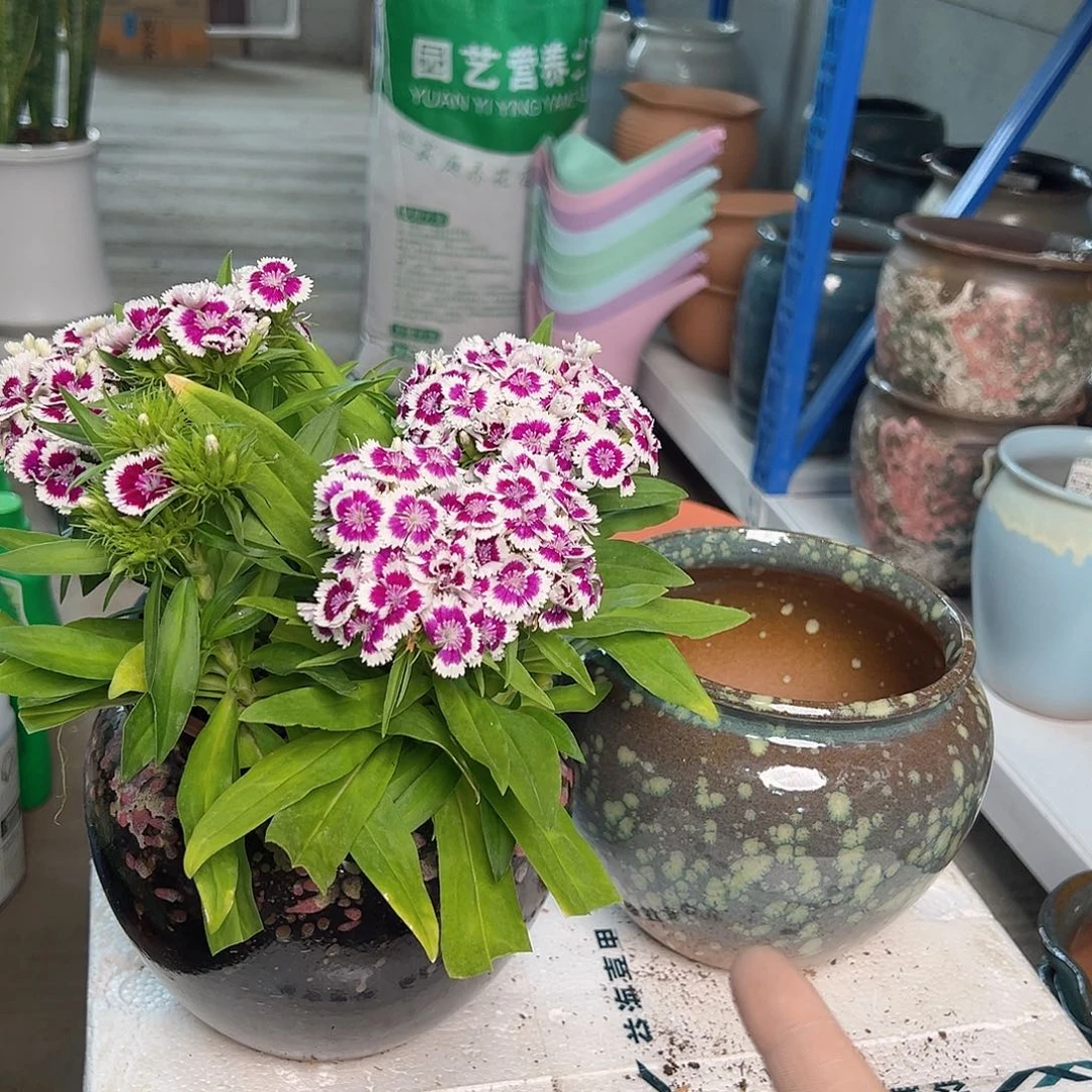 口14高14，2个装，新疆发货