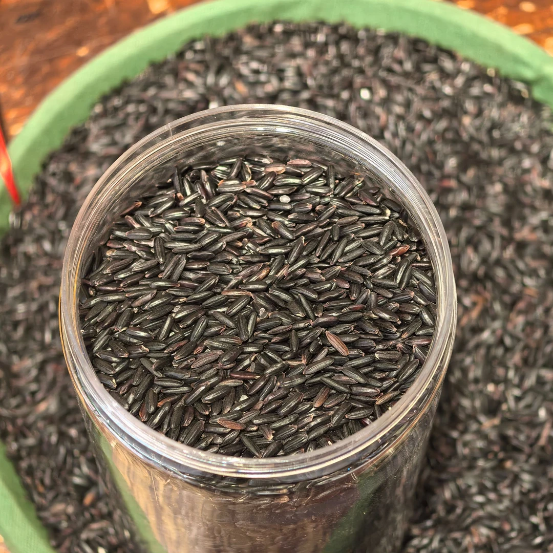 农家黑糯米健康食用早餐食材黑米