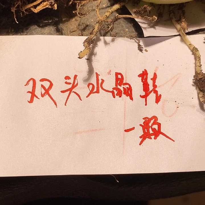 双头水晶鞋一颗。