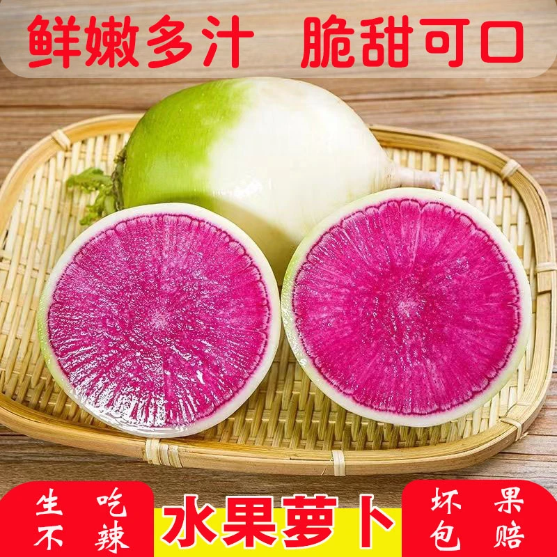 新种红心水果萝卜青皮红心生吃脆甜不辣心里美萝卜凉拌泡菜