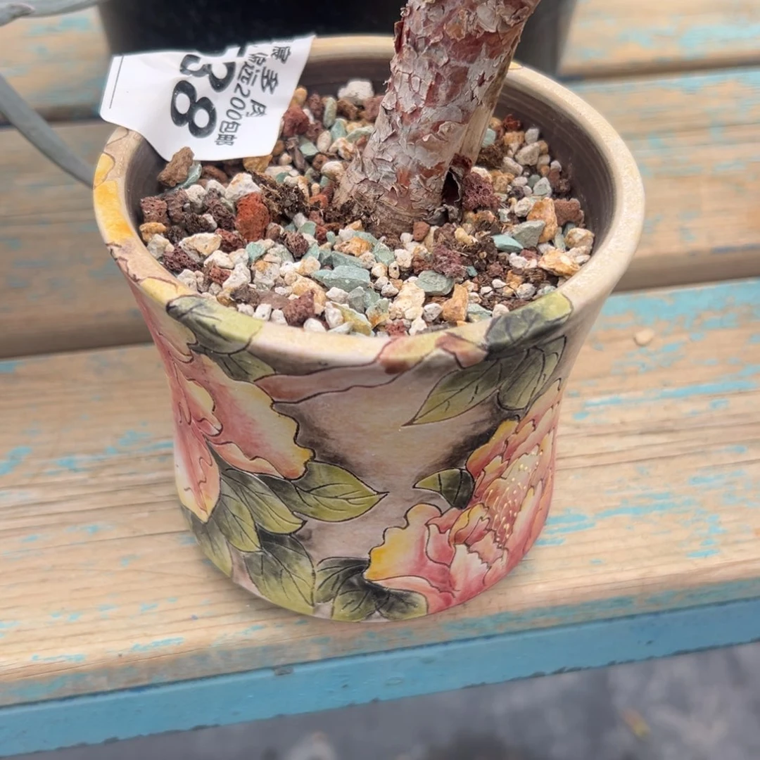 煜***妈谢谢姐姐～一物一拍522