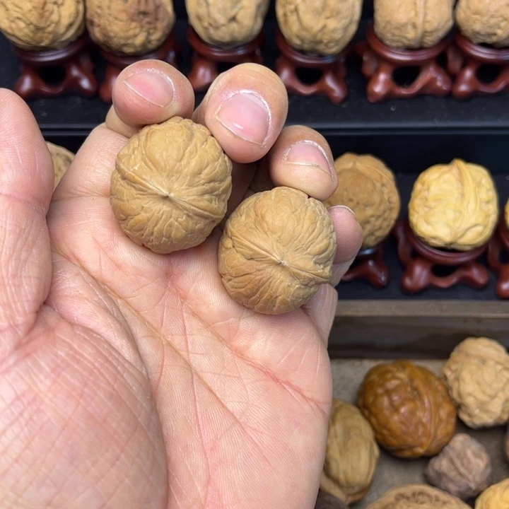 核桃云南铁核桃小肉包