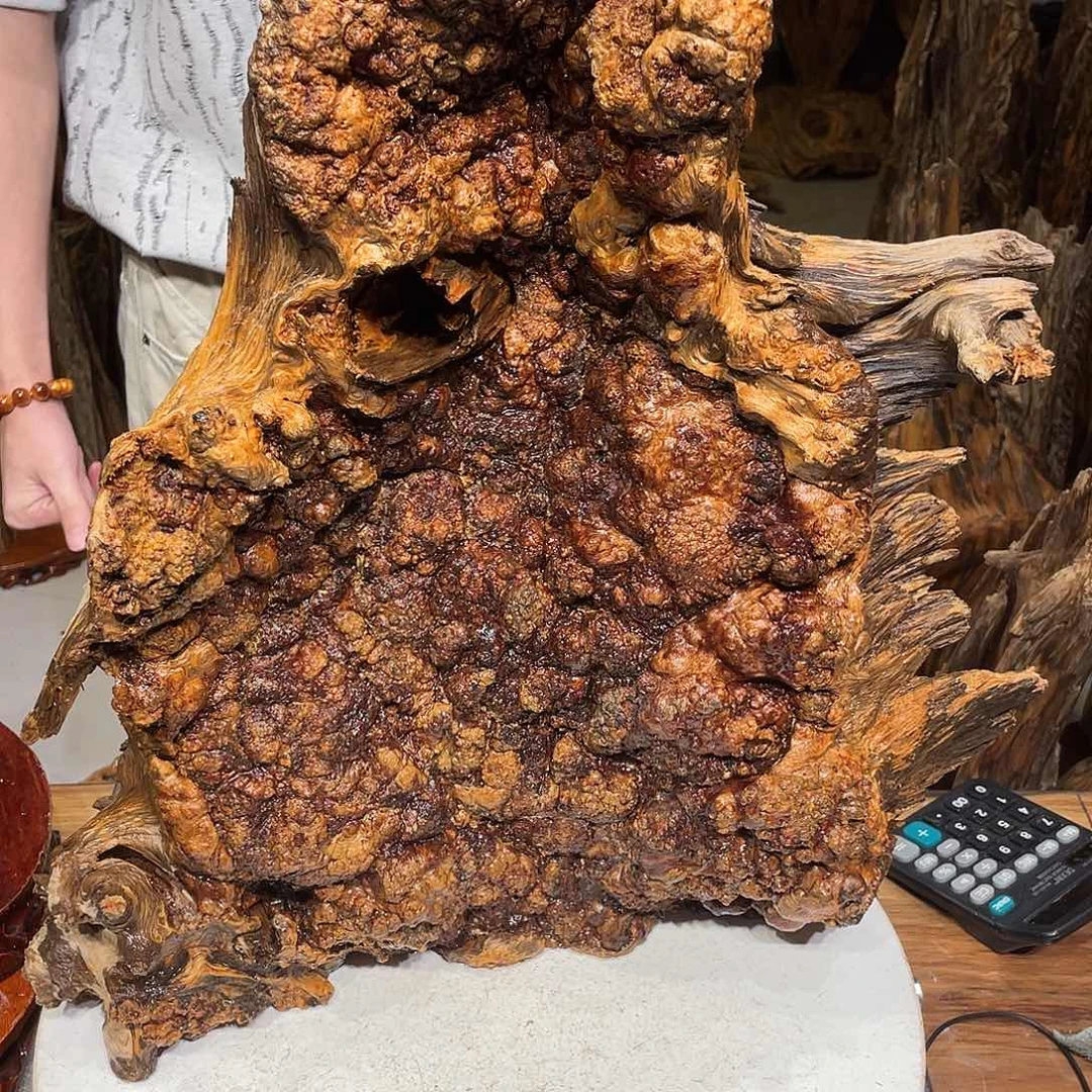 赛***酒松木（琥珀木）北沉香