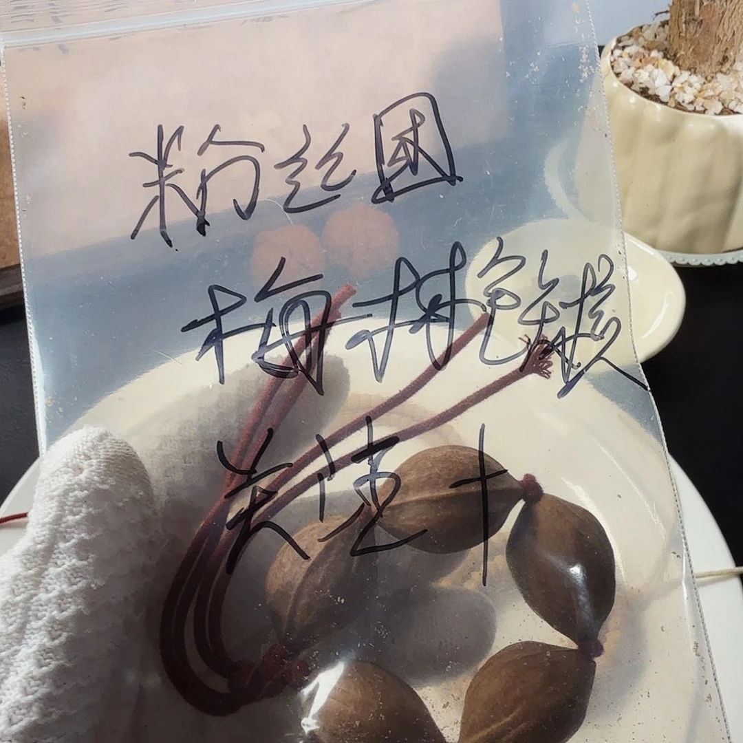 夙***愿柏香籽/百香籽吊坠铁核