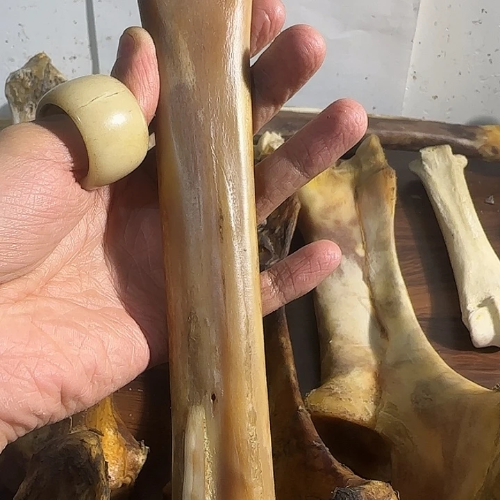 mz陀骨陀骨陀骨陀骨