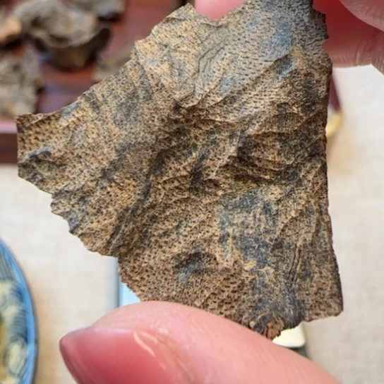 沉香摆件海南野沉水包头2.2克