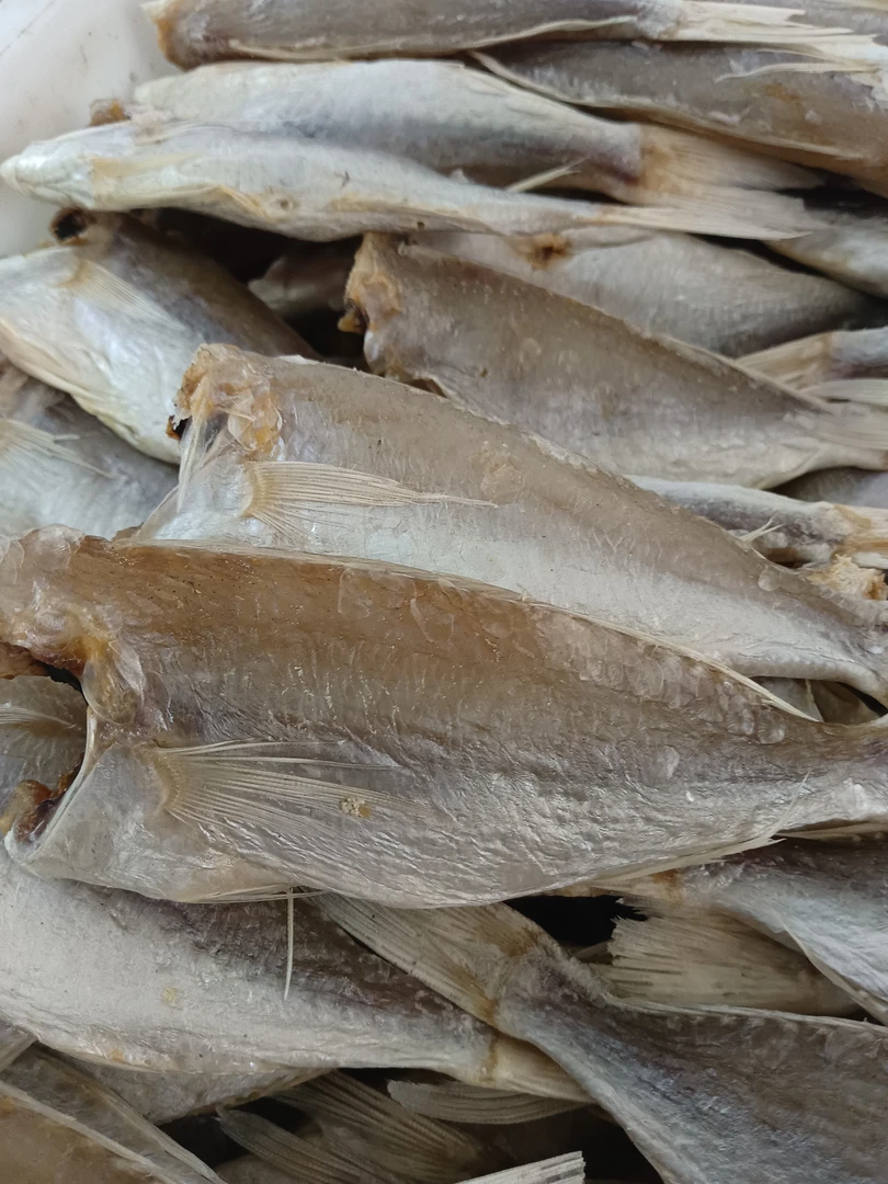 正宗北海咸鱼干红三鱼干红衫鱼去头自晒风干海味干货咸鱼下粥食材
