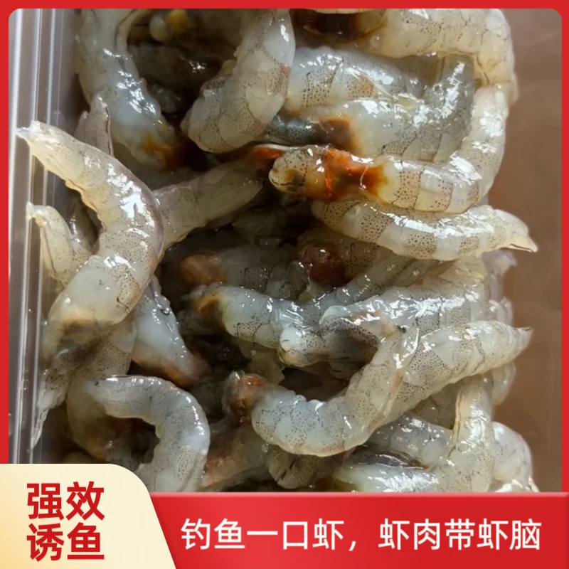 【海钓万能饵】100%鲜活现剥虾仁不死饵不空军新型钓鱼神器野钓饵料