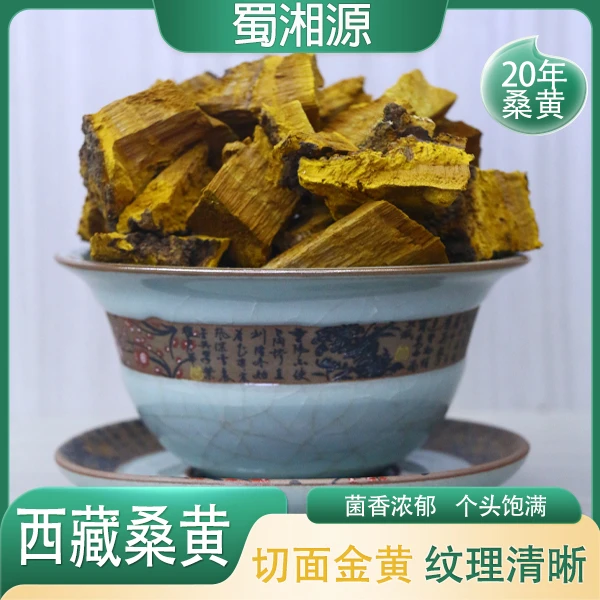 桑黄西藏精选老桑黄