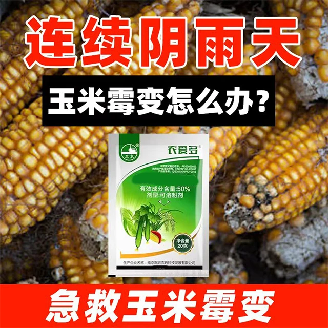 玉米防霉腐烂应急处理玉米霉变有效解决叶面肥