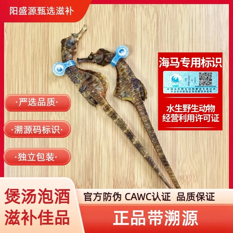 带溯源的正品保真海马干货可炖汤海马泡酒专用