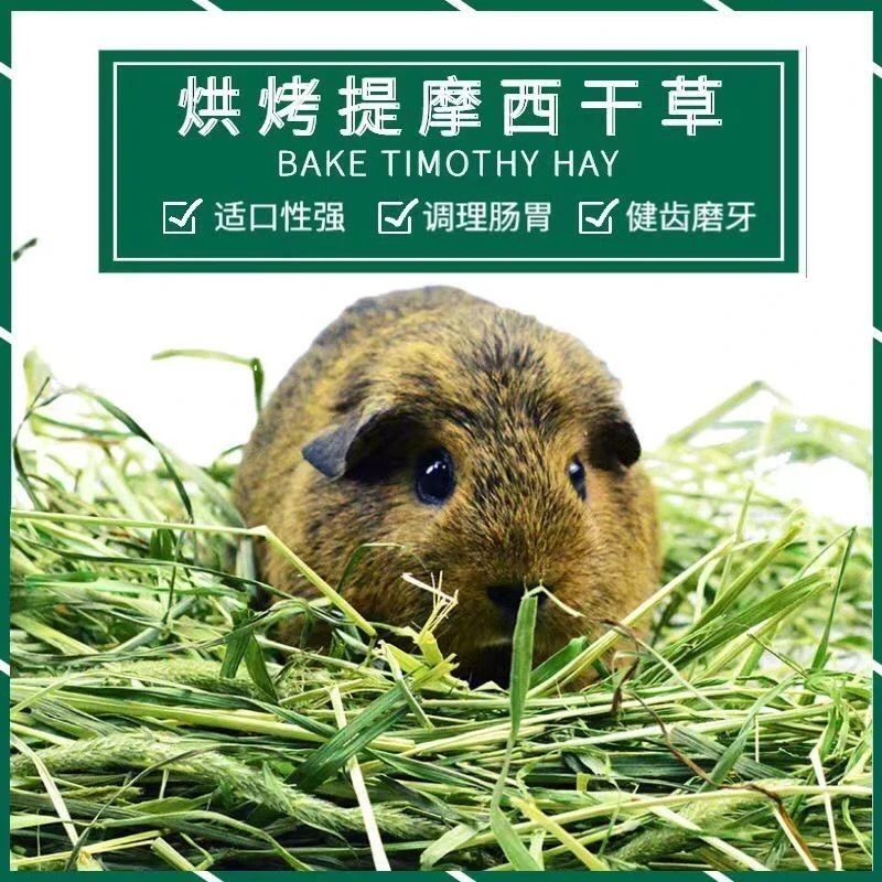 仓鼠饲料爱吃可爱喜欢营养价值高