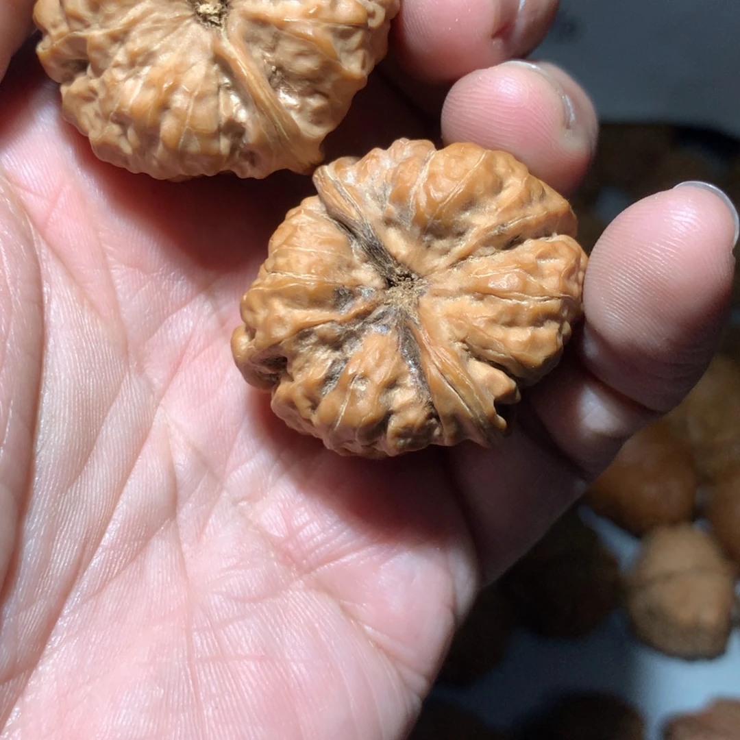 এ***阳把件文玩核桃阳哥专拍蛤蟆头