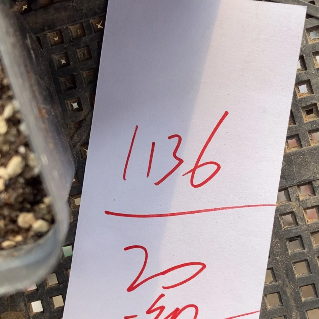 笑*1136一组一组一组