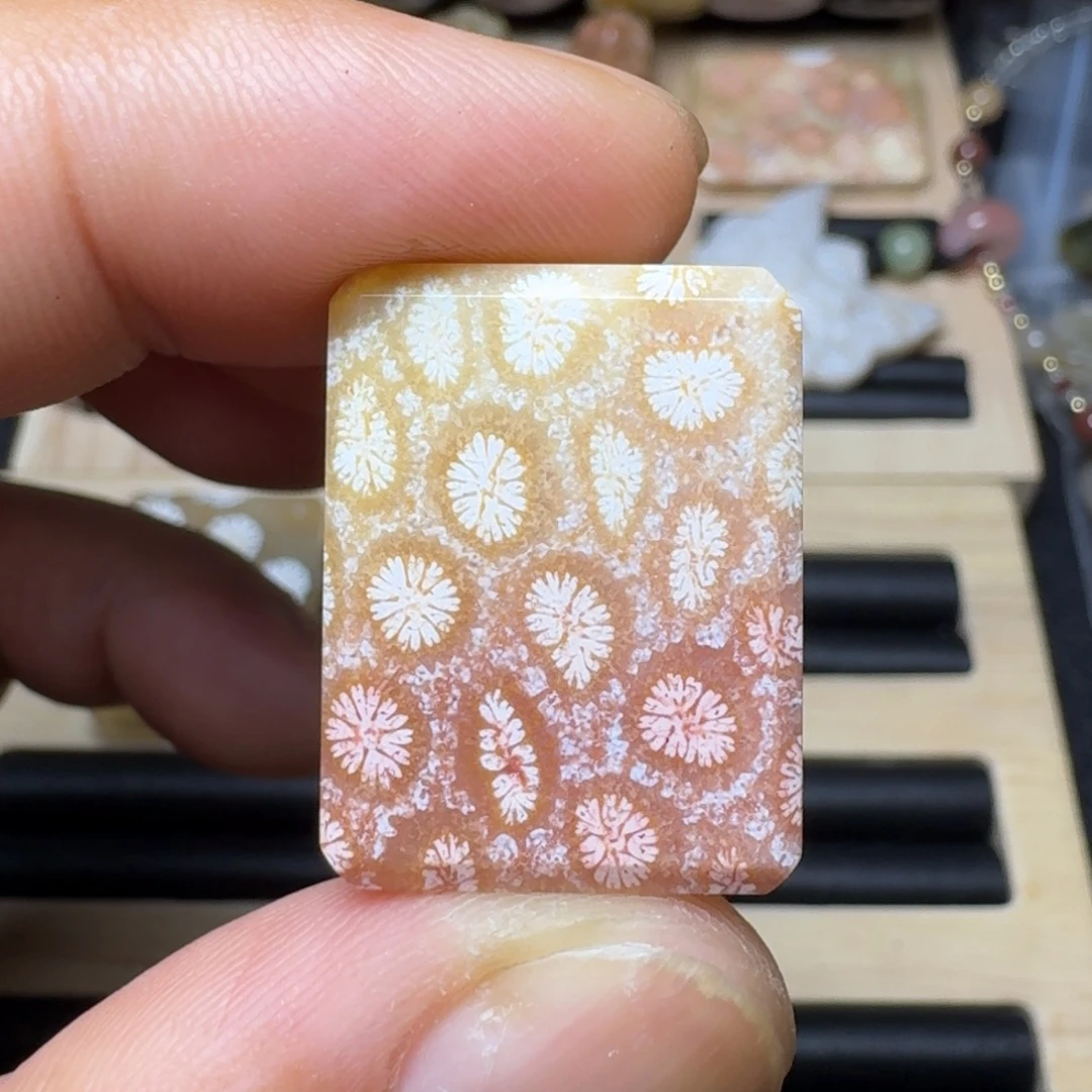 未镶嵌纯天然色有机玉石保真色硅化玉