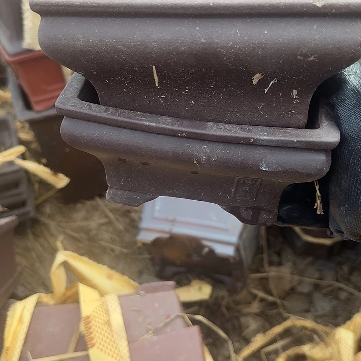 紫砂之光之美与玉树美景相映成趣吧