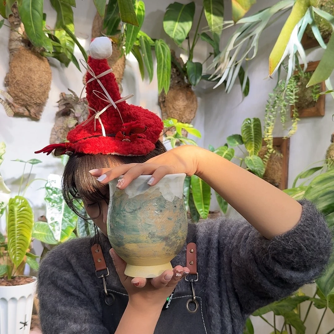 无花朵原盆9.9福利花漾多包邮