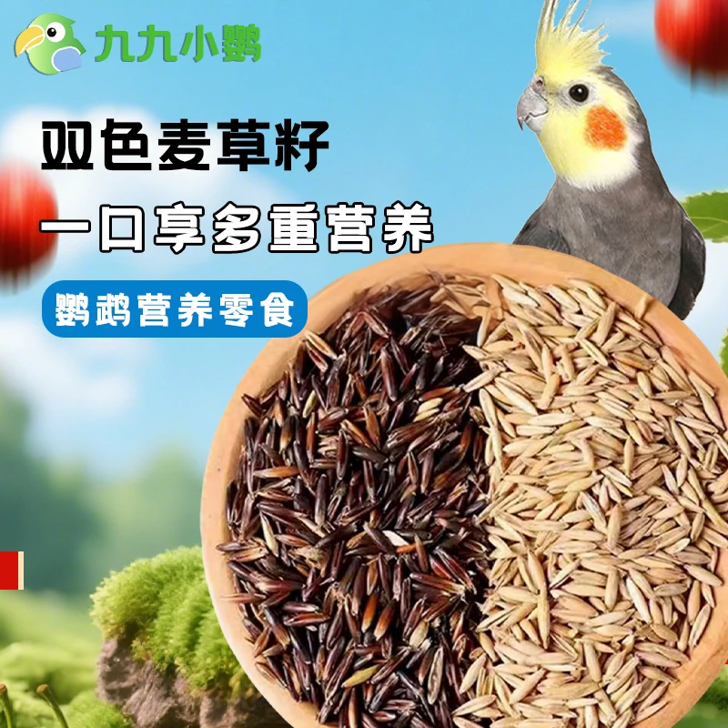 九九小鹦双色白玉黑金麦草籽带壳麦草子牡丹虎皮鹦鹉零食籽