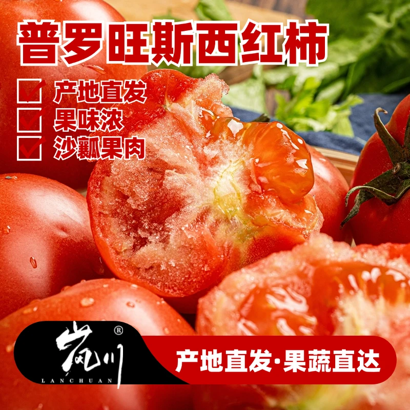 【坏果包赔】山东烟台普罗旺斯西红柿番茄沙瓤爆汁自然熟的味道