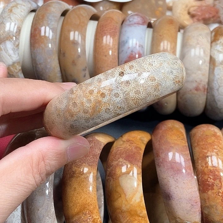 颈饰未镶嵌硅化珊瑚（珊瑚玉）