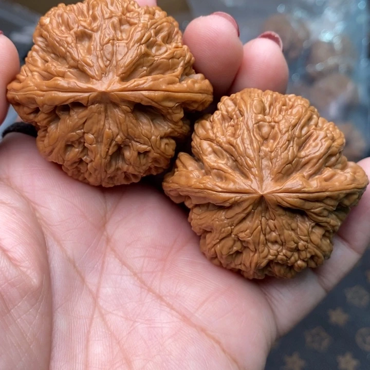 木质类大粗筋48尺核桃