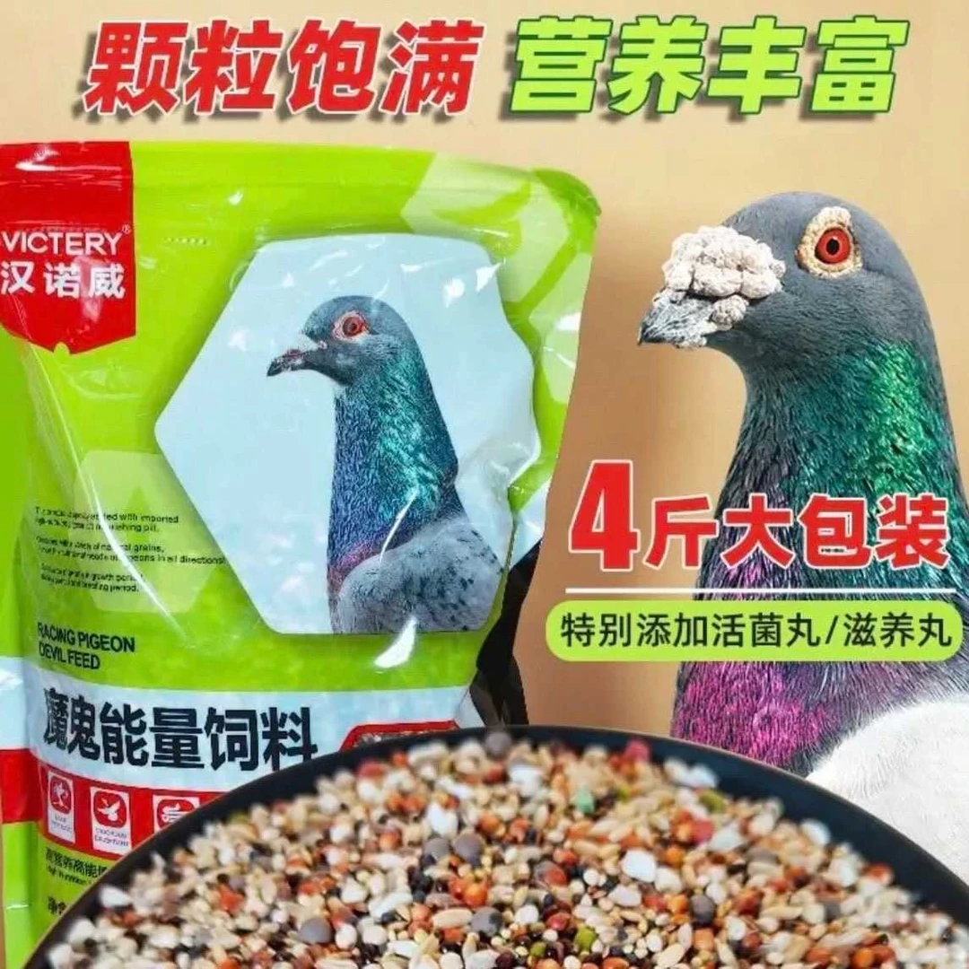 德国汉诺威赛鸽用魔鬼能量饲料