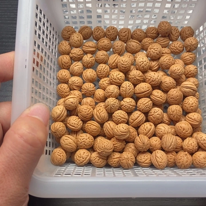 感***悟散籽发货100福利款