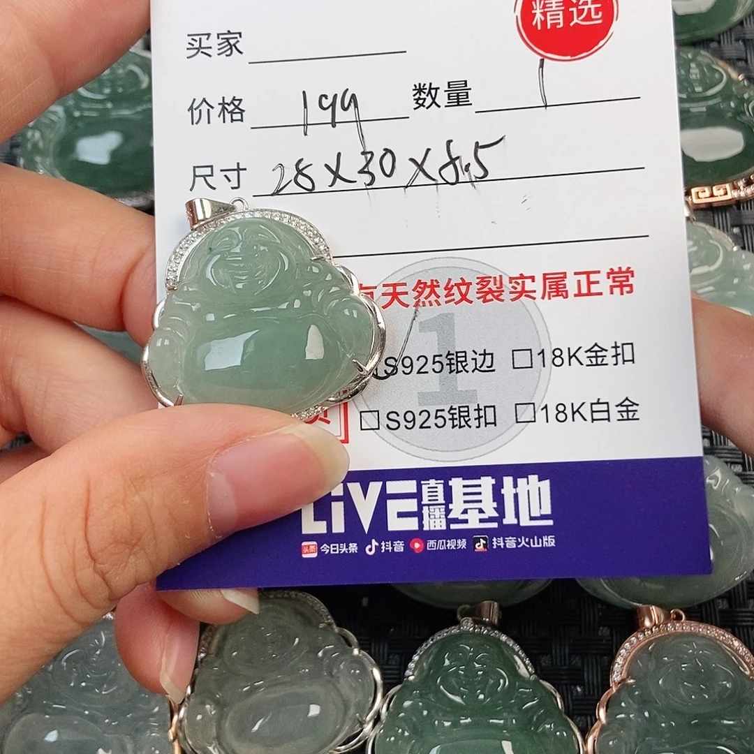翡翠银S925镶嵌颈饰