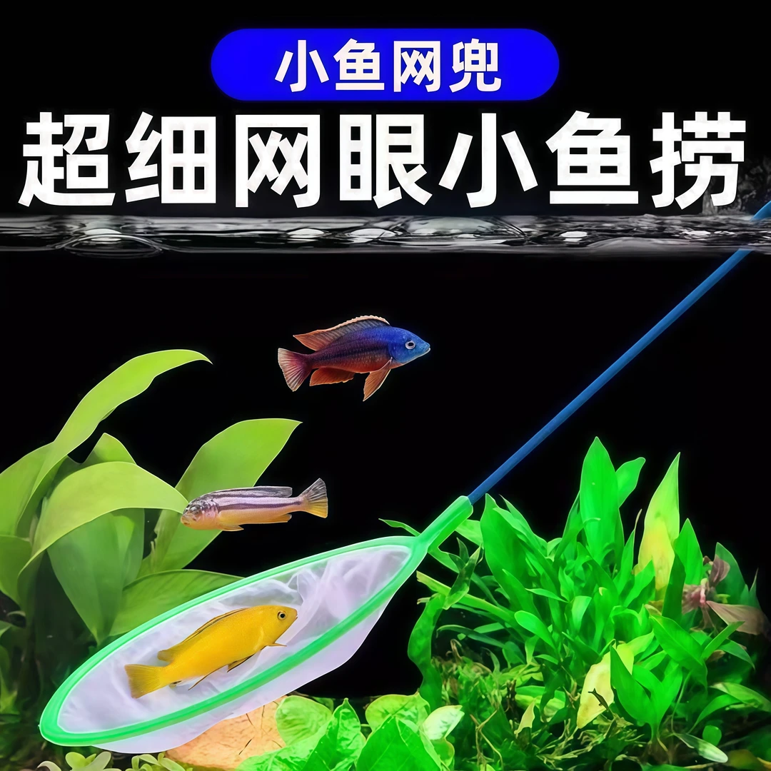迷鱼捞小鱼网鱼网捞鱼小渔网鱼捞网迷你型鱼缸网捞手抄网兜金鱼