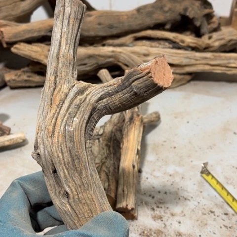 大果紫檀（缅甸花梨）乾*