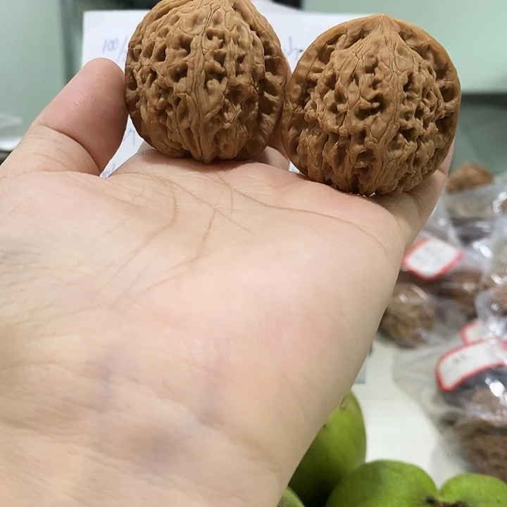 文玩核桃吊坠水龙纹39+修