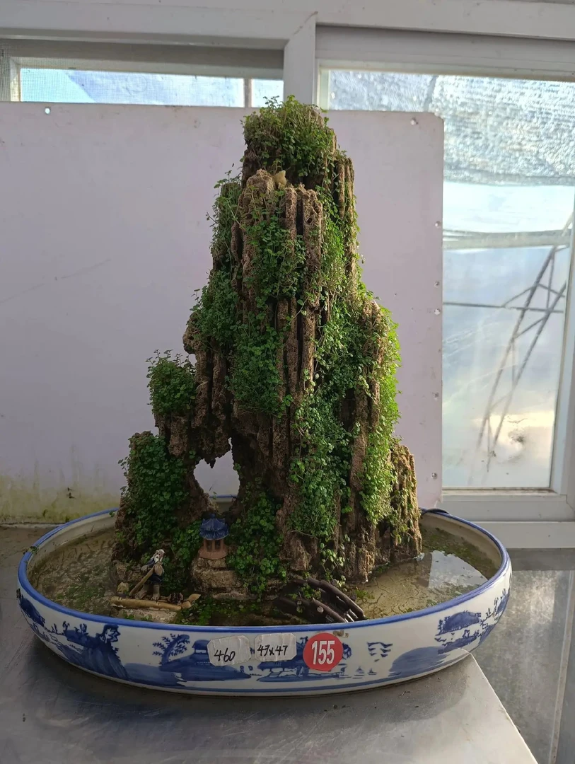 高47，长47，吸水石绿植盆景