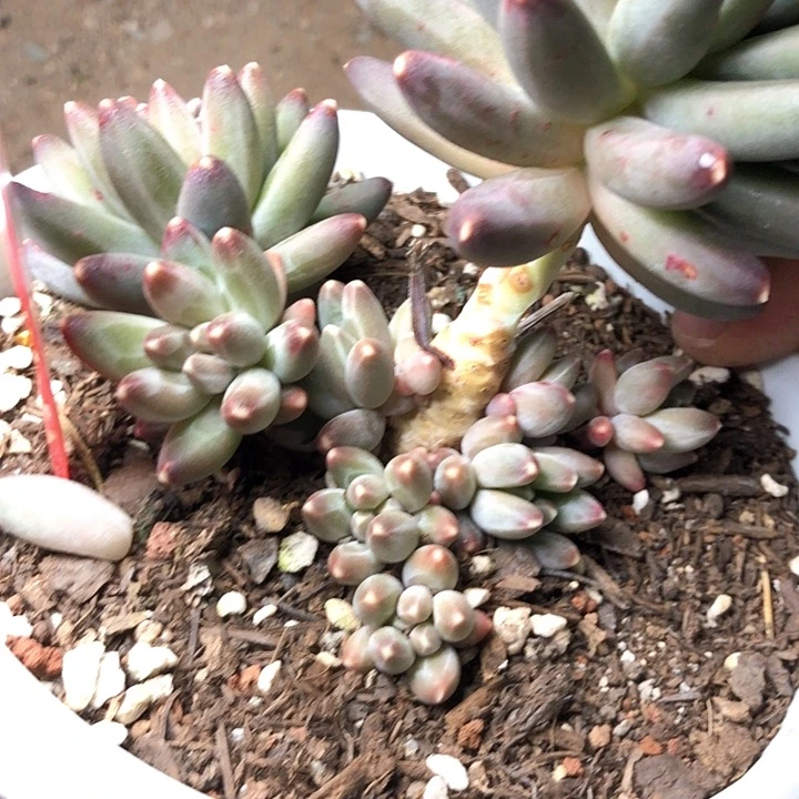 小**G28///////////////////