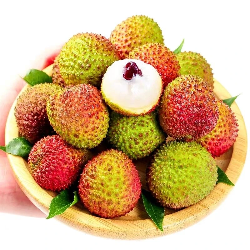 【顺丰冷链】广东茂名妃子笑荔枝原产地直发现货现发