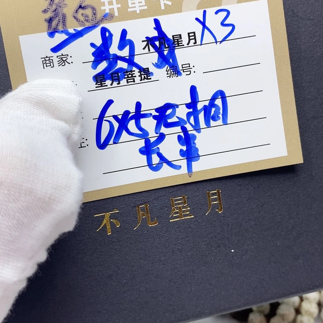 星月菩提吊坠11112222x3