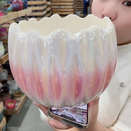 红陶花盆直播间价格的价格