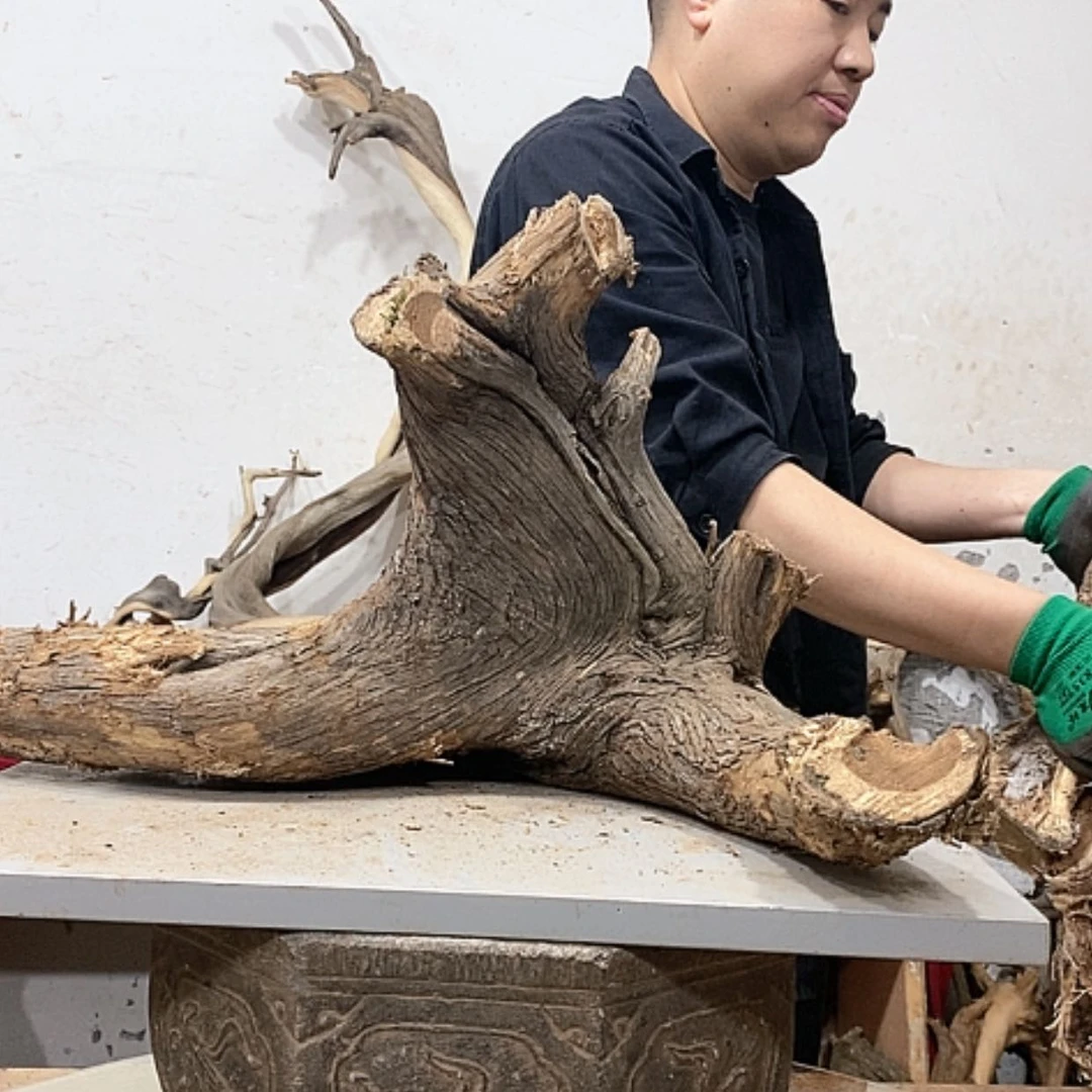 【闪购商品】柏木田*。我们都是好孩子