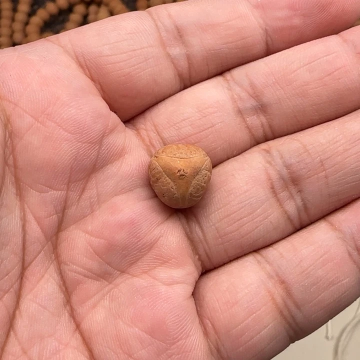 凤眼菩提吊坠L*M实心12