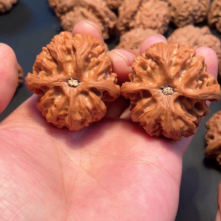 核桃燕****43尺寸苹果园